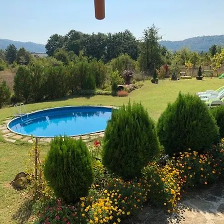 симона яз.тича