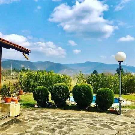 симона яз.тича