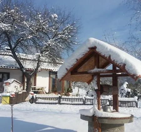 симона яз.тича *